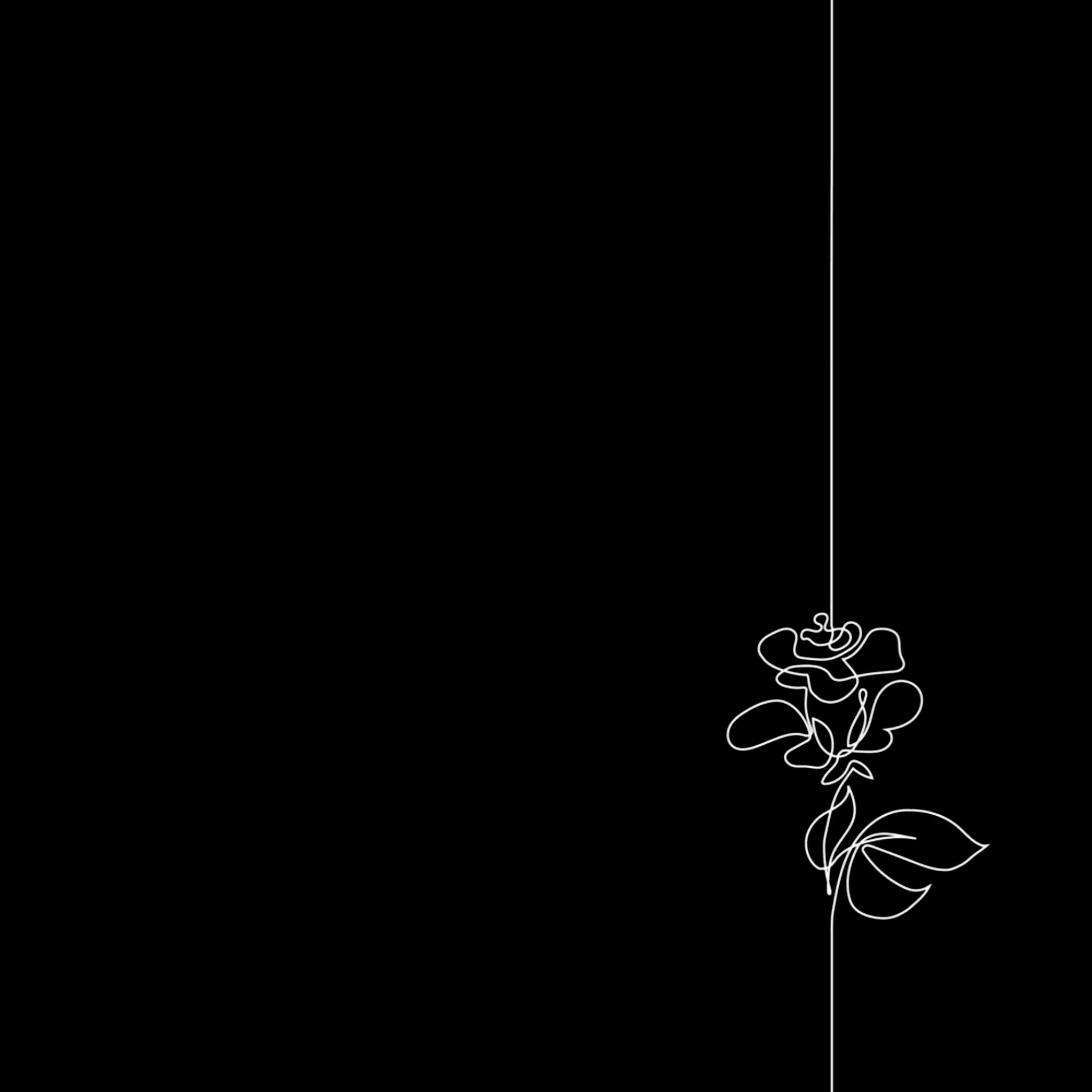 a new ··· emix)专辑
